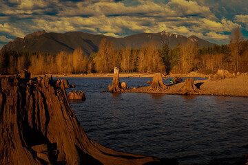 2022-01-09 RATTLESNAKE LAKE WITH EXPOSED STUMPS, TREES IN FALL COLORS, MT SI IN THE BACKGROUND