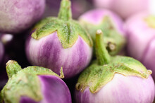 Close Up Of Fresh Organic Thai Purple Eggplant Texture Background