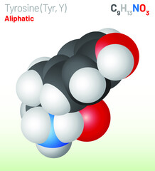 Tyrosine (Trp, W) amino acid molecule. (Chemical formula C9H11NO3) Ball-and-stick model, space-filling model and skeletal formula. Layered vector illustration