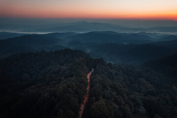 Wall Mural - early morning sunrise in the forest