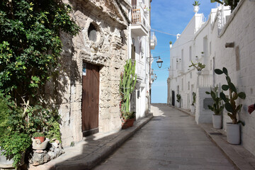 Poster - View of a backstreet near the harbour in Monopoli, Italy