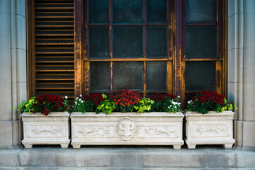 Canvas Print - Big planters with various plants set against brick wall with windows