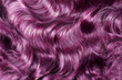 Purple hair texture. Wavy long curly violet or pink hair close up as background. Hair extensions, materials and cosmetics, hair care. Hairstyle, haircut or dying in salon.