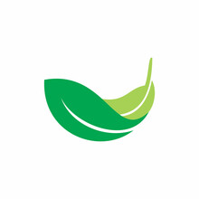 Green Natue Leaf Logo Design