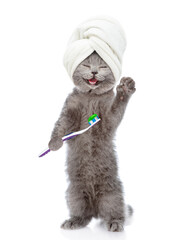 Fototapete - Happy cat with towel on it head holds toothbrush with toothpaste. isolated on white background