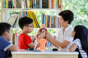 A Group of Asian Student Kid learning and looking artificial human body on the table with female teacher in School library with Shelf of Books  Background