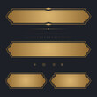 Set of Gold premium label. golden name plate. Vector illustration