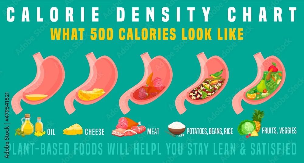 Calorie density. What 500 calories look like in the stomach. Stock