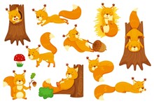 Cartoon Squirrel Sleeping, Cute Squirrels With Acorns. Funny Forest Wildlife Animal Character Sitting In Tree Hollow, Holding Acorn Vector Set. Lovely Fluffy Creature Having Different Activities
