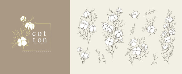 Wall Mural - cotton plant logo and branch. hand drawn line wedding herb, elegant leaves for invitation save the d