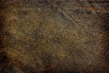 Wall Mural - background texture of old brown leather closeup