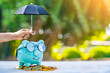 Piggy bank put on the gold coin and man hand hold the black umbrella for protect on sunlight in the public park, to prevent for asset and saving money for buy health insurance concept.
