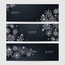 Elegant Winter Black White Snowflake Design Template Banner