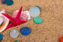 Red Starfish And Seashells On A Tropical Sandy Beach.macro