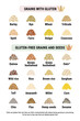 Gluten-free and containing gluten grains infographic. Healthy and unhealthy grains and seeds by celiac disease. Vertical format. Wheat, barley, rye, triticale. Hand drawn vector illustration