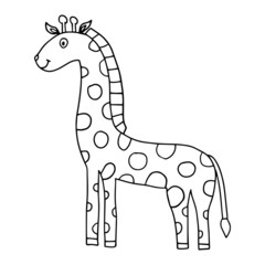 Wall Mural - Cartoon doodle linear giraffe isolated on white background. Childlike style.