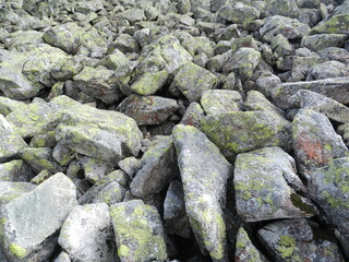 Stones and rocks. An old crumbling wall with a beautiful, rough structure. 