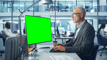 Caucasian Senior Specialist Working On Desktop Computer With Green Chroma Key Screen Display In A Busy Corporate Office. Mature Male Manager Creatively Working In Multi-Ethnic International Workplace