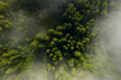 © New Africa - Aerial view of beautiful landscape with misty forest