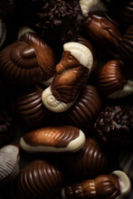 Chocolats Au Lait Fourré Praliné Escargot Et Coquillage Avec Poudre De Cacao En Gros Plan