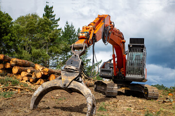 Poster - A swing loader is used to stack pine logs and for loading onto a logging truck at a forestry site. Tree removal in New Zealand