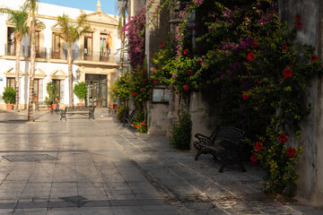 Side of the parish of Our Lady of the O covered by plants and colorful flowers and the building of the old town hall in the background, Chipiona, Cadiz, Andalusia, Spain