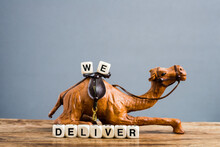 We Deliver. The Inscription From Cubes On The Background Of A Resting Camel.