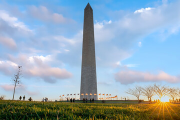 Fototapete - Washington Monument in the National Mall in Washington, D.C., USA