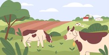 Milk Cows Grazing In Pasture, Eating Grass. Farm Domestic Animals, Heifers In Grassland. Free-range Cattle On Farmland. Country Field. Rural Landscape. Flat Vector Illustration Of Countryside Ranch