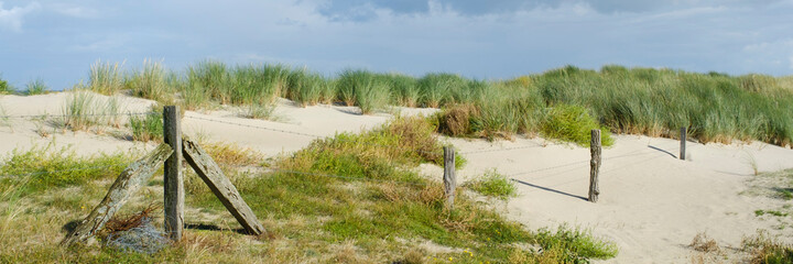 Sticker - Dünenlandschaft an der Nordseeküste, Insel Wangerooge, Ostfriesland, Niedersachsen, Deutschland, Europa