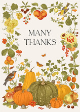 Many Thanks. Harvest. Greeting Card For Thanksgiving Day. Autumn Botanical Illustration.