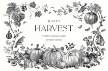 Happy Harvest. Vector Frame. Autumn Botanical Illustration. Black And White