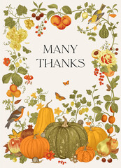 Wall Mural - Many Thanks. Harvest. Greeting card for Thanksgiving Day. Autumn botanical illustration.