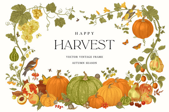 happy harvest. vector frame. autumn botanical illustration.