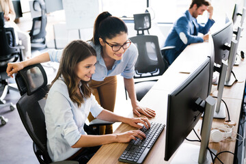 programmer working in a software developing company