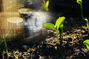 growing green seedling on soil with money stack and stock market index business investment background