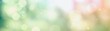 Spring background - abstract banner - green blurred bokeh lights -