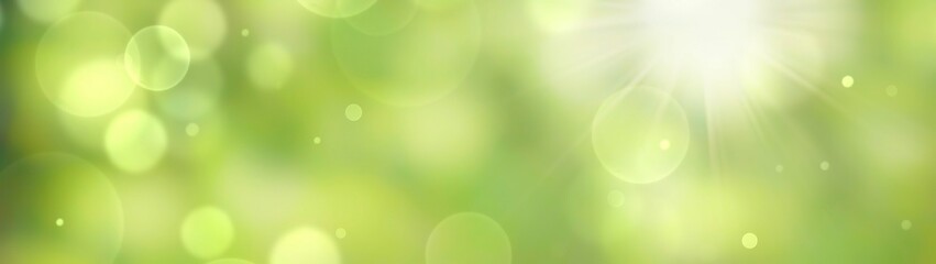 Wall Mural - spring background - abstract banner - green blurred bokeh lights -