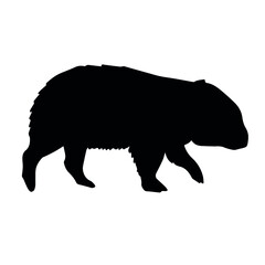 Sticker - Vector hand drawn wombat silhouette isolated on white background