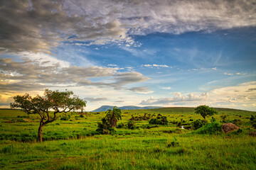 sunset at the mara
