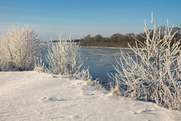 Wall Mural - winter landscape. morning frost and sun. ice drift on the river. the branches of plants are covered with white frost