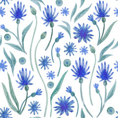  Watercolor pattern with blue flowers and leaves isolated on white background.