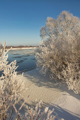 Wall Mural - winter landscape. morning frost and sun. ice drift on the river. the branches of plants are covered with white frost