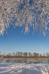 Wall Mural - winter landscape. morning frost and sun. ice drift on the river. the branches of plants are covered with white frost