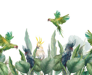 Wall Mural - Watercolor black, white and green parrots repeating border. Hand drawn tropical card design with exotic leaves and branches on white background.  Birds and banana leaves