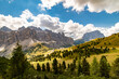 Panorama view of Gardena Pass, Sassolungo, Piz Boe, and Sass dla Luesa, Trentino Alto Adige, Italy. Alpine meadows and Passo Gardena.