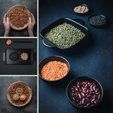 Fototapeta Tulipany - Legumes. Collage of four images. Various dried legumes - beans, lentils, mungo beans and chickpeas. Dark and moody. Social media post with copy space.