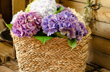 Fototapeta Kuchnia - bukiet kwiatów hortensji w plecionym koszu na tle brązowych drewnianych desek