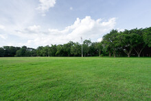 Landscape Of Grass Field And Green Environment Public Park Use As Natural Background, Backdrop.