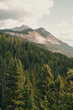 Yellowstone Forest Peak